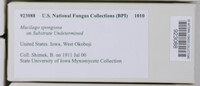 Image Associated With the Occurence